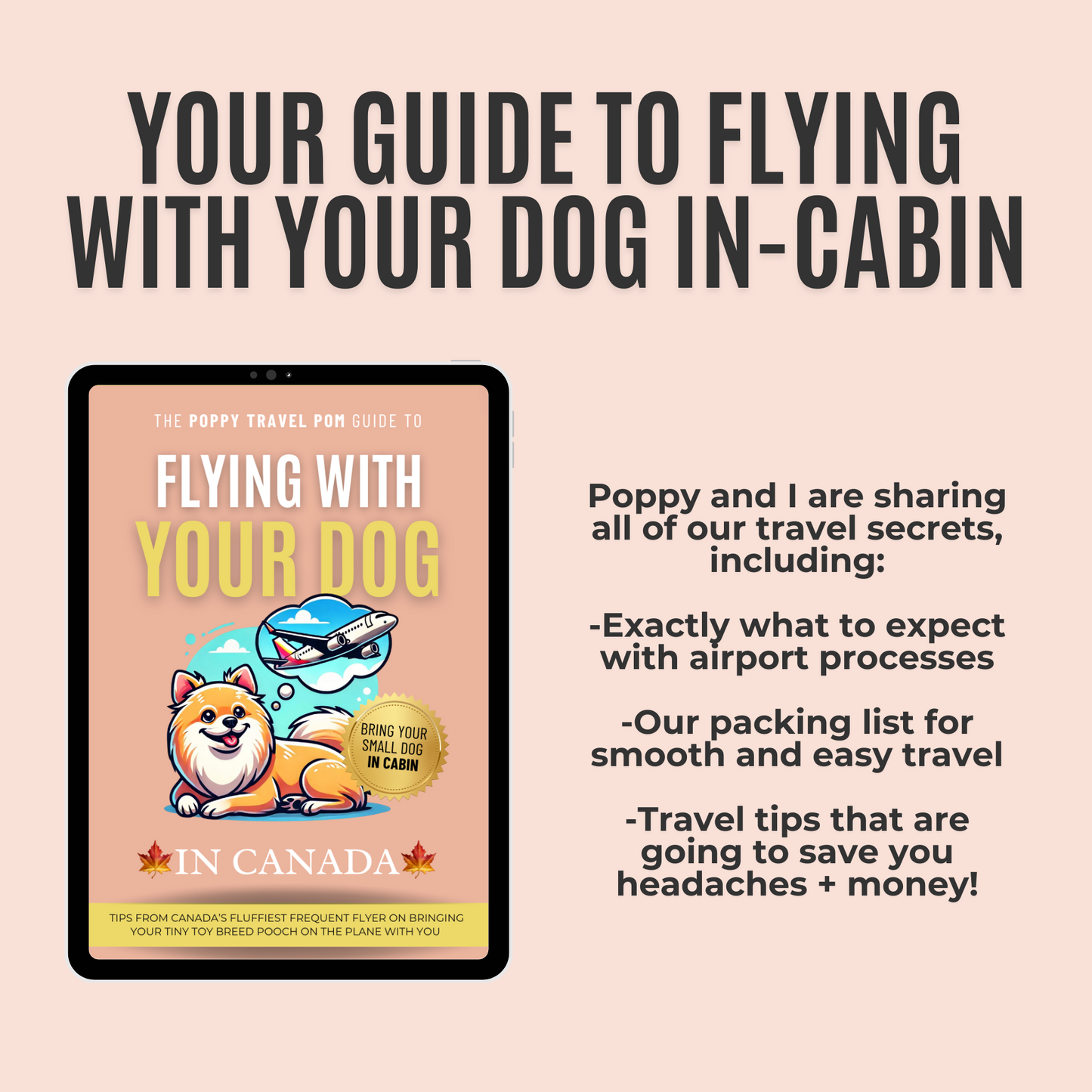 Travel Guide - Flying with Your Dog in Canada