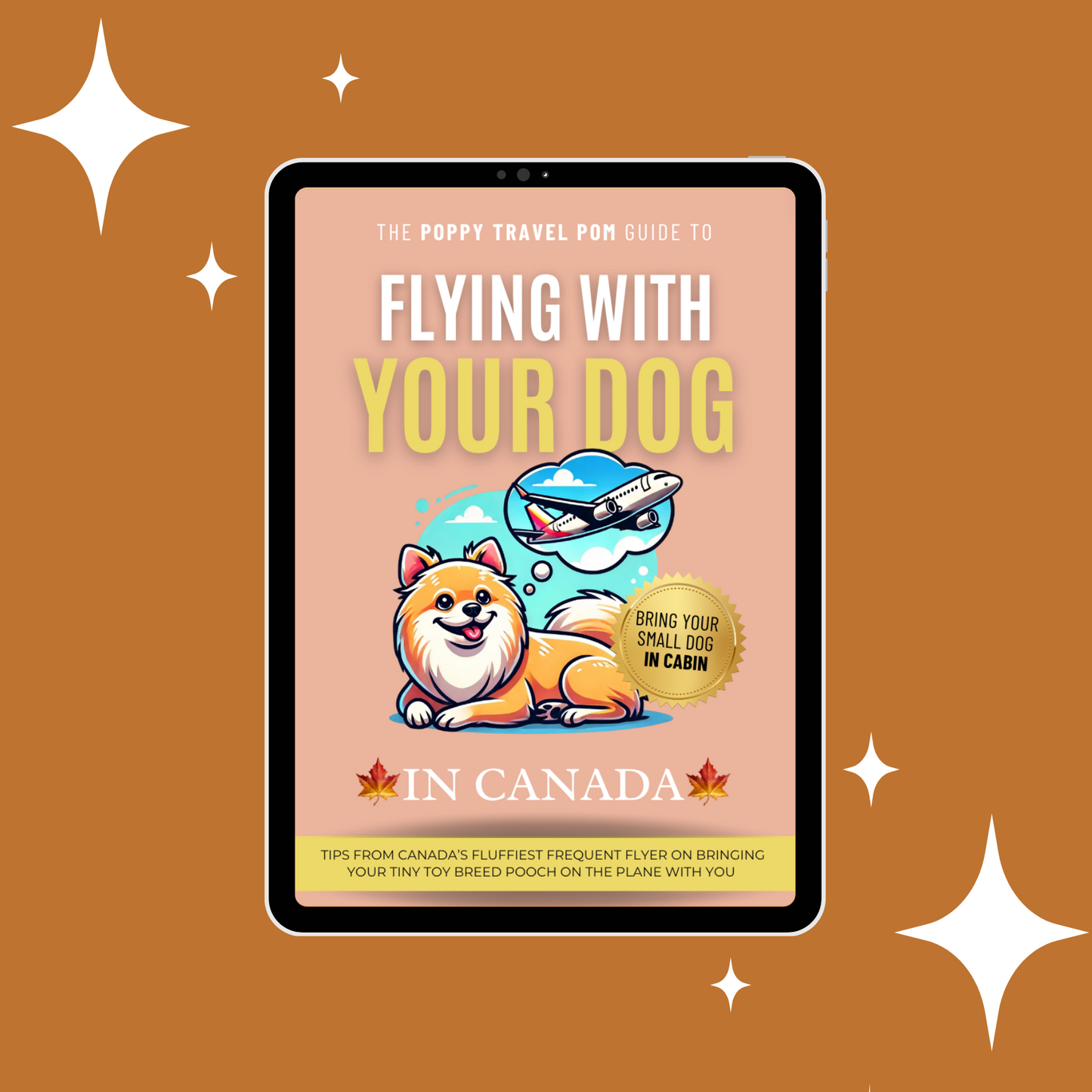 Travel Guide - Flying with Your Dog in Canada