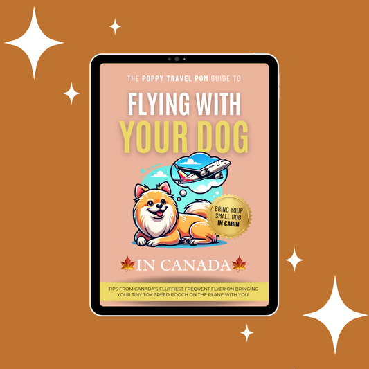 Travel Guide - Flying with Your Dog in Canada